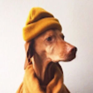 Meet your Posher, Elizabeth ann